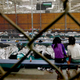 Illustration for article titled Senate Report: U.S. Placed Over a Dozen Immigrant Children With Human Traffickers